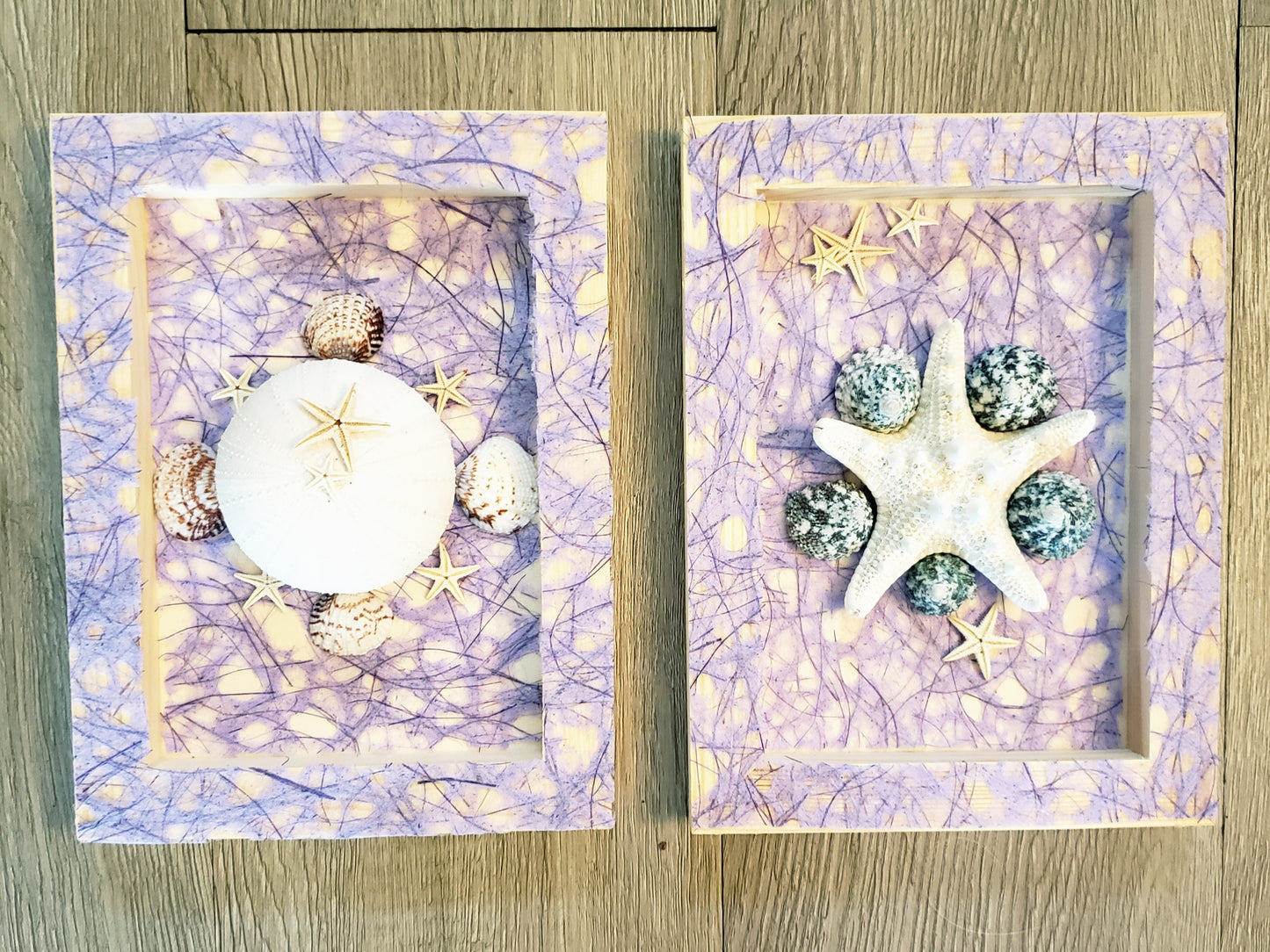 Set of 4 Shell Themed Shadow Boxes