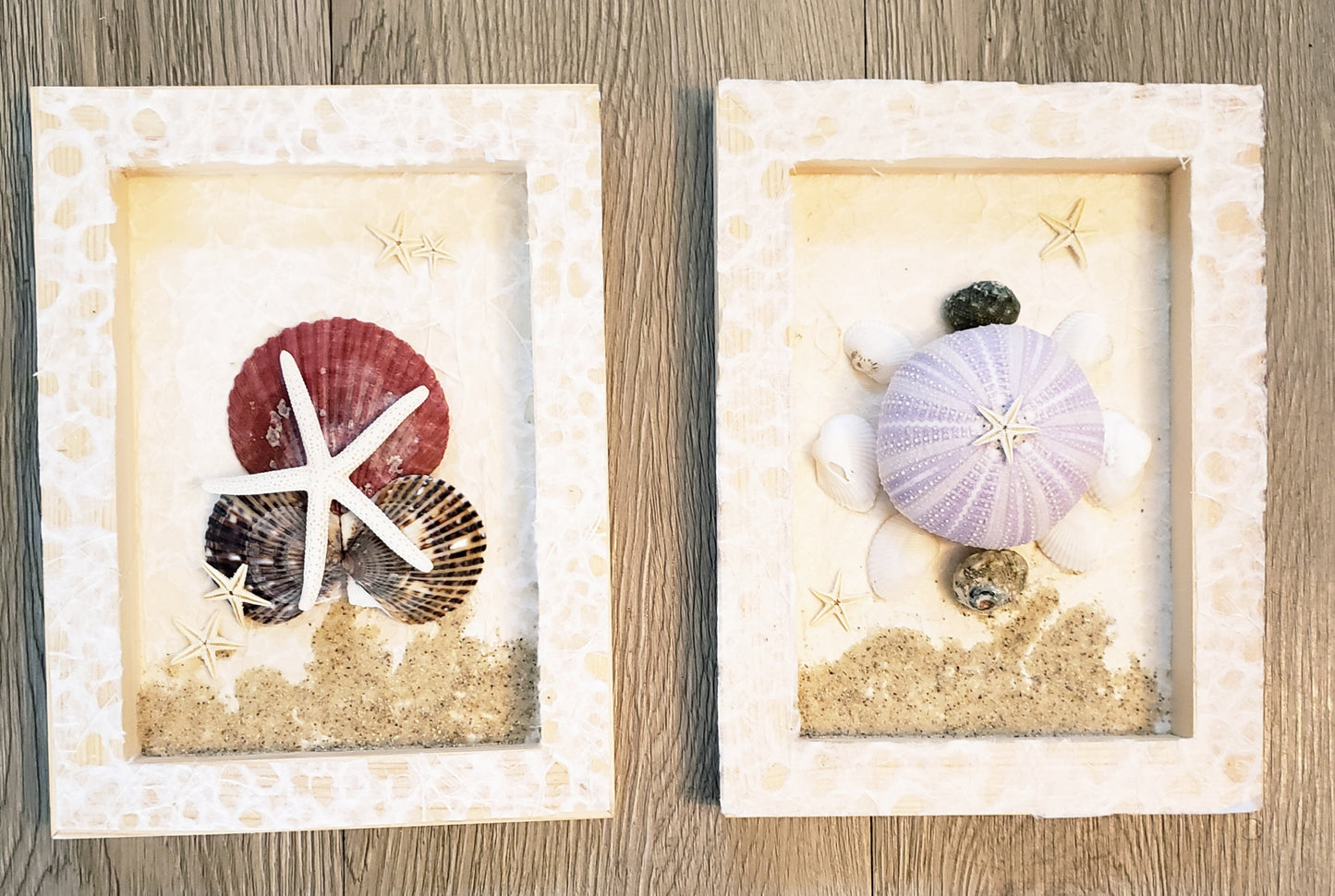Set of 4 Shell Themed Shadow Boxes