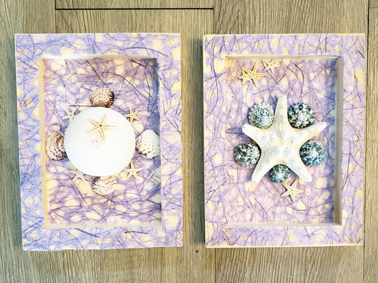 Set of 4 Shell Themed Shadow Boxes
